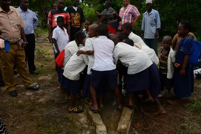 DSC_9395 (Large).JPG